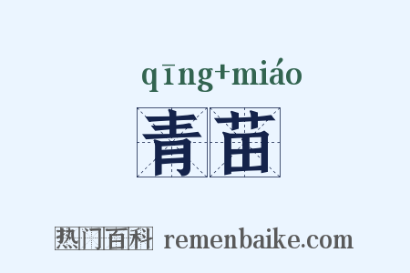 青苗是什么意思的图片